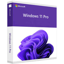 Windows 11 Professionnel (Pro)